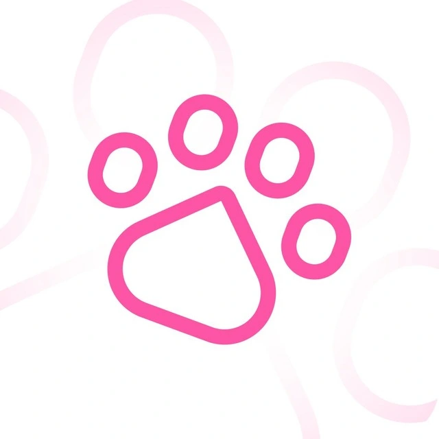 Cats VPN