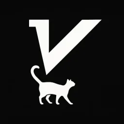 v2RayTun VPN