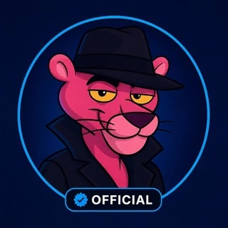 VPN Panther 🐾